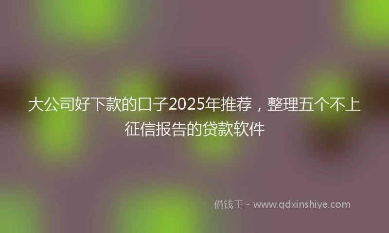 大公司好下款的口子2025年推荐，整理五个不上征信报告的贷款软件