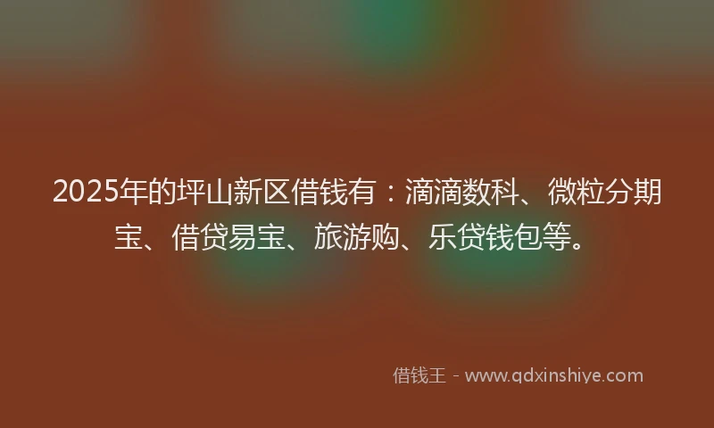 2025年的坪山新区借钱有：滴滴数科、微粒分期宝、借贷易宝、旅游购、乐贷钱包等。