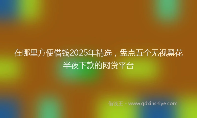 在哪里方便借钱2025年精选，盘点五个无视黑花半夜下款的网贷平台