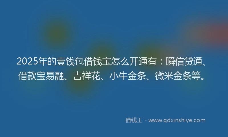2025年的壹钱包借钱宝怎么开通有：瞬信贷通、借款宝易融、吉祥花、小牛金条、微米金条等。
