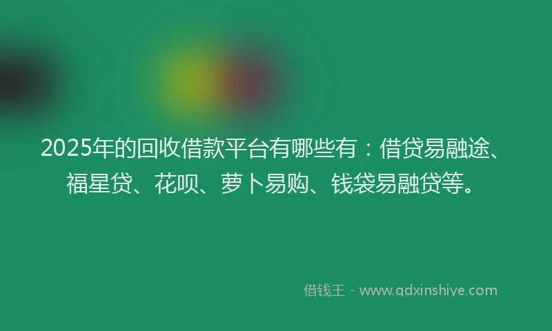 2025年的回收借款平台有哪些有：借贷易融途、福星贷、花呗、萝卜易购、钱袋易融贷等。