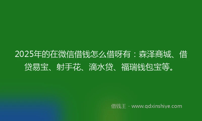 2025年的在微信借钱怎么借呀有：森泽商城、借贷易宝、射手花、滴水贷、福瑞钱包宝等。