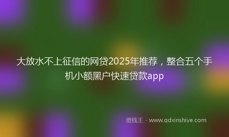 大放水不上征信的网贷2025年推荐，整合五个手机小额黑户快速贷款app