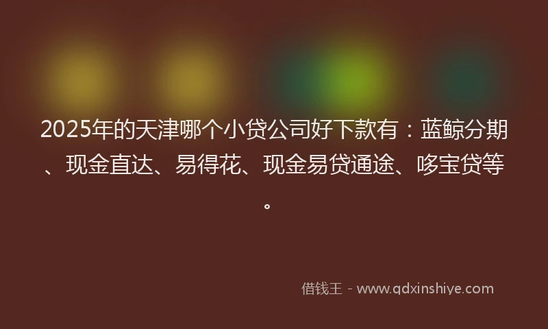 2025年的天津哪个小贷公司好下款有:蓝鲸分期、现金直达、易得花、现金易贷通途、哆宝贷等。