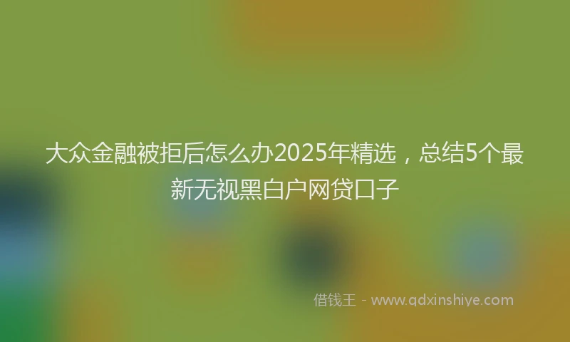 大众金融被拒后怎么办2025年精选，总结5个最新无视黑白户网贷口子