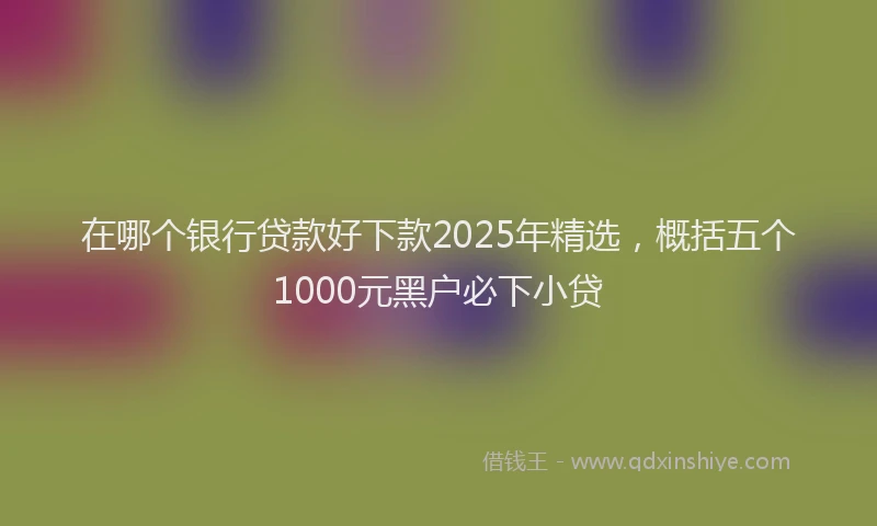 在哪个银行贷款好下款2025年精选，概括五个1000元黑户必下小贷