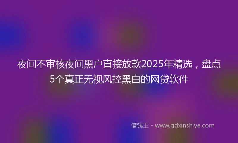 夜间不审核夜间黑户直接放款2025年精选，盘点5个真正无视风控黑白的网贷软件
