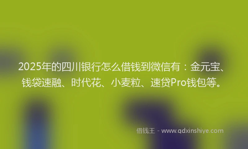 2025年的四川银行怎么借钱到微信有：金元宝、钱袋速融、时代花、小麦粒、速贷Pro钱包等。