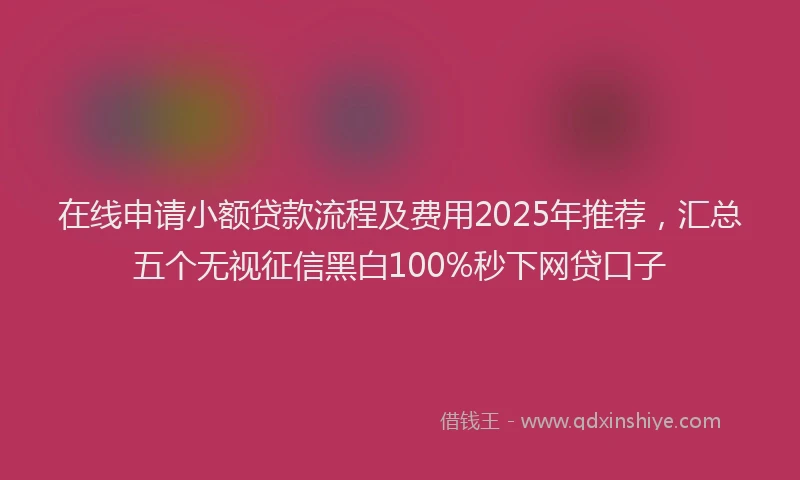 在线申请小额贷款流程及费用2025年推荐，汇总五个无视征信黑白100%秒下网贷口子