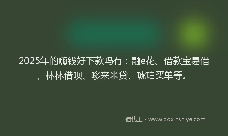 2025年的嗨钱好下款吗有：融e花、借款宝易借、林林借呗、哆来米贷、琥珀买单等。