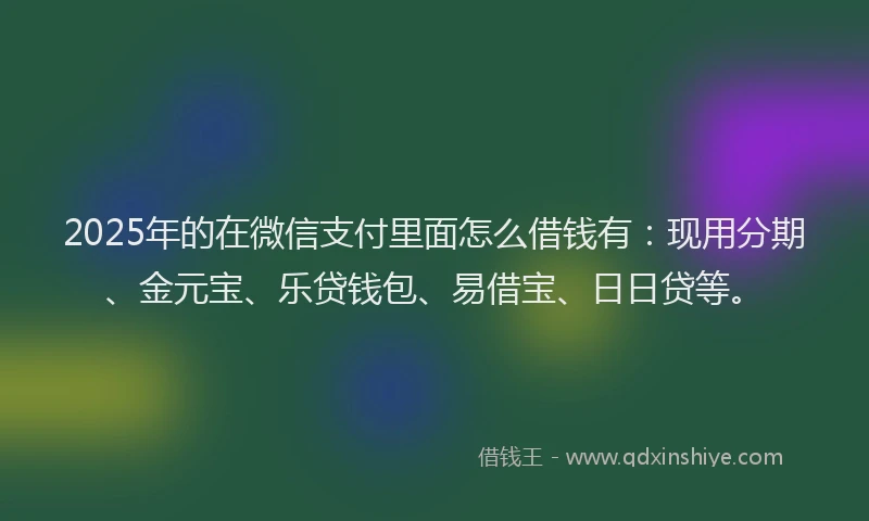 2025年的在微信支付里面怎么借钱有：现用分期、金元宝、乐贷钱包、易借宝、日日贷等。