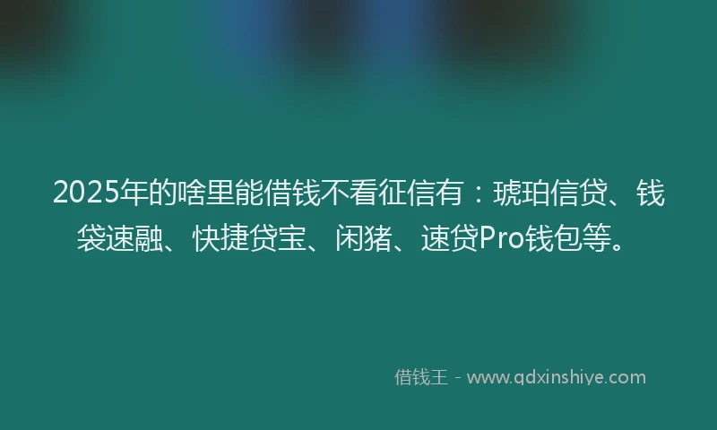 2025年的啥里能借钱不看征信有：琥珀信贷、钱袋速融、快捷贷宝、闲猪、速贷Pro钱包等。