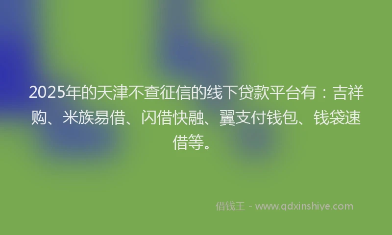 2025年的天津不查征信的线下贷款平台有：吉祥购、米族易借、闪借快融、翼支付钱包、钱袋速借等。