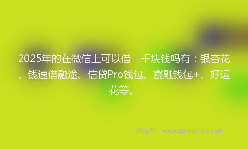 2025年的在微信上可以借一千块钱吗有：银杏花、钱速借融途、信贷Pro钱包、鑫融钱包+、好运花等。