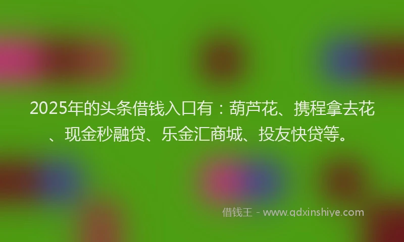 2025年的头条借钱入口有：葫芦花、携程拿去花、现金秒融贷、乐金汇商城、投友快贷等。