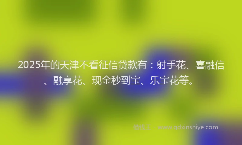 2025年的天津不看征信贷款有：射手花、喜融信、融享花、现金秒到宝、乐宝花等。