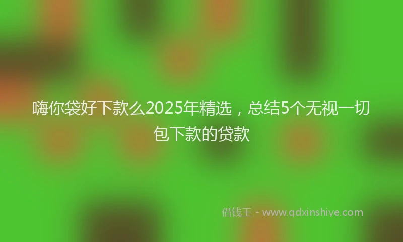 嗨你袋好下款么2025年精选，总结5个无视一切包下款的贷款
