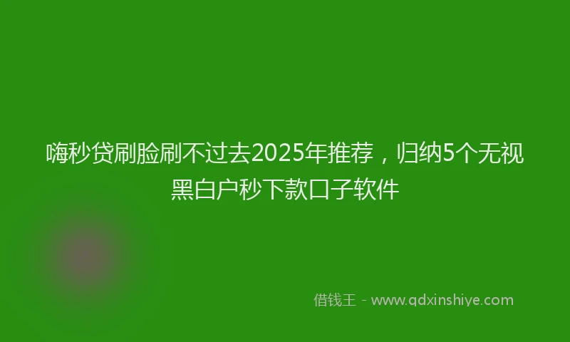 嗨秒贷刷脸刷不过去2025年推荐，归纳5个无视黑白户秒下款口子软件