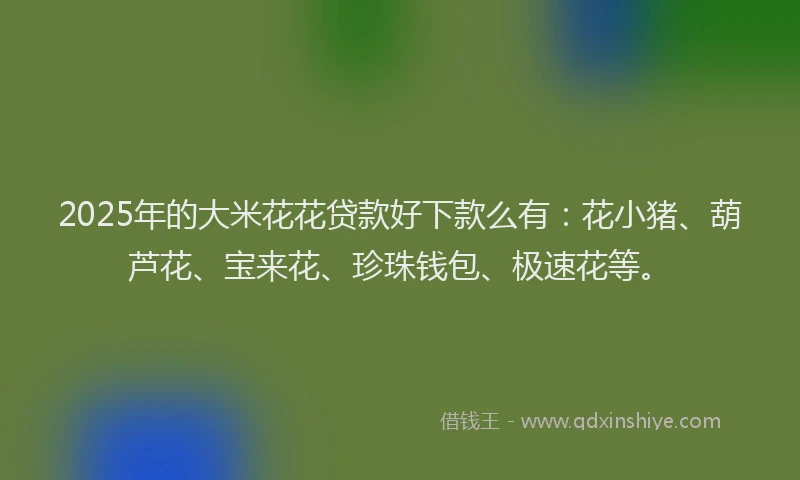 2025年的大米花花贷款好下款么有：花小猪、葫芦花、宝来花、珍珠钱包、极速花等。