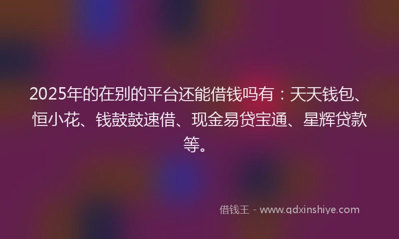 2025年的在别的平台还能借钱吗有：天天钱包、恒小花、钱鼓鼓速借、现金易贷宝通、星辉贷款等。