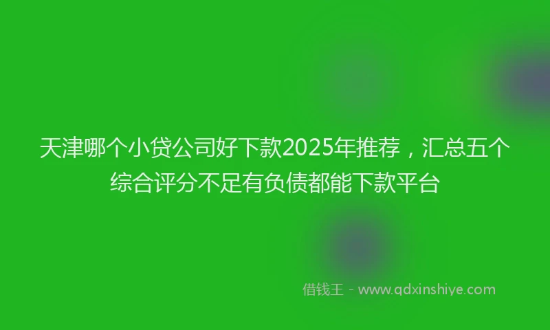 天津哪个小贷公司好下款2025年推荐，汇总五个综合评分不足有负债都能下款平台