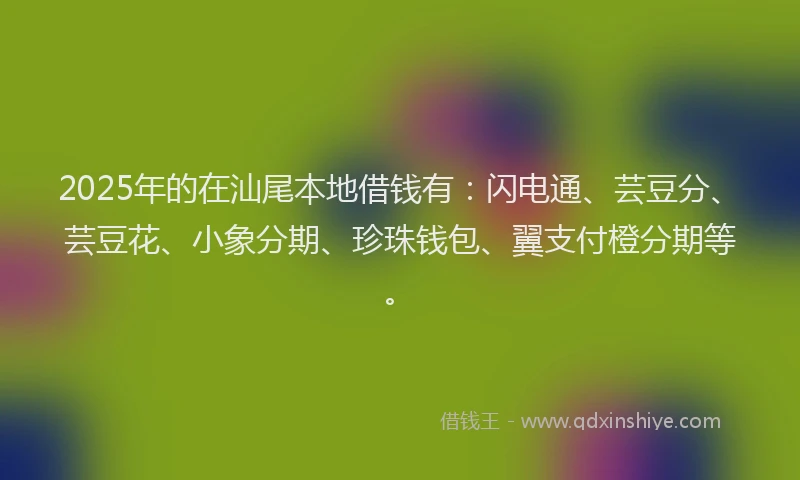 2025年的在汕尾本地借钱有：闪电通、芸豆分、芸豆花、小象分期、珍珠钱包、翼支付橙分期等。