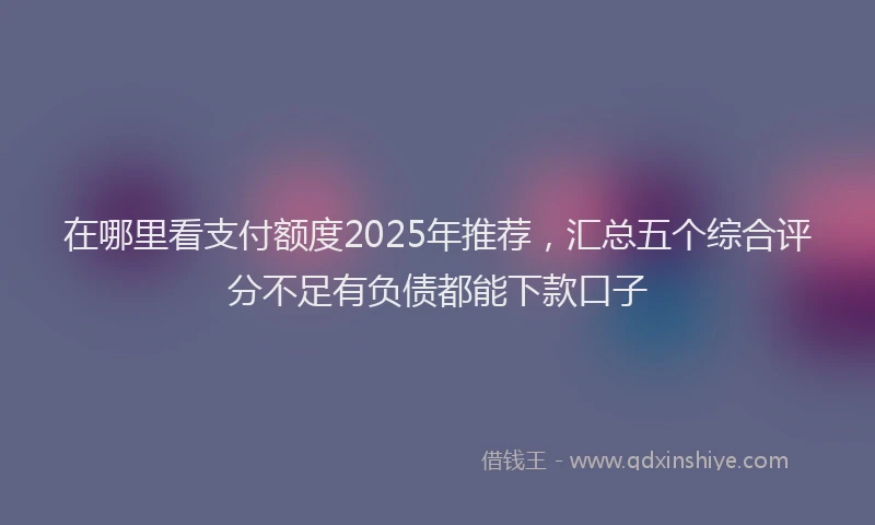 在哪里看支付额度2025年推荐，汇总五个综合评分不足有负债都能下款口子