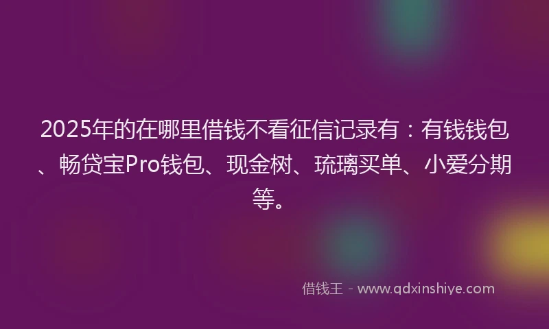 2025年的在哪里借钱不看征信记录有：有钱钱包、畅贷宝Pro钱包、现金树、琉璃买单、小爱分期等。