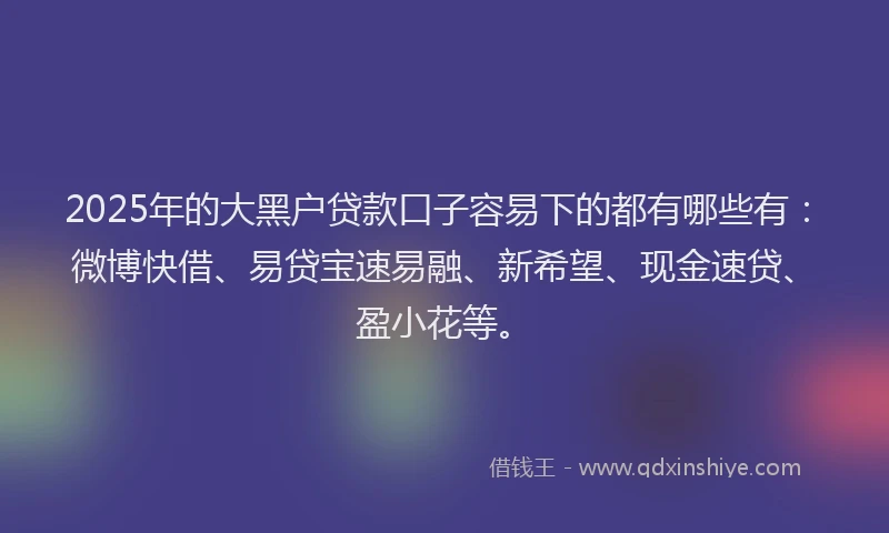 2025年的大黑户贷款口子容易下的都有哪些有：微博快借、易贷宝速易融、新希望、现金速贷、盈小花等。