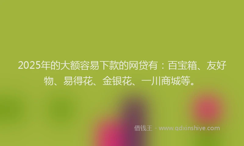 2025年的大额容易下款的网贷有：百宝箱、友好物、易得花、金银花、一川商城等。