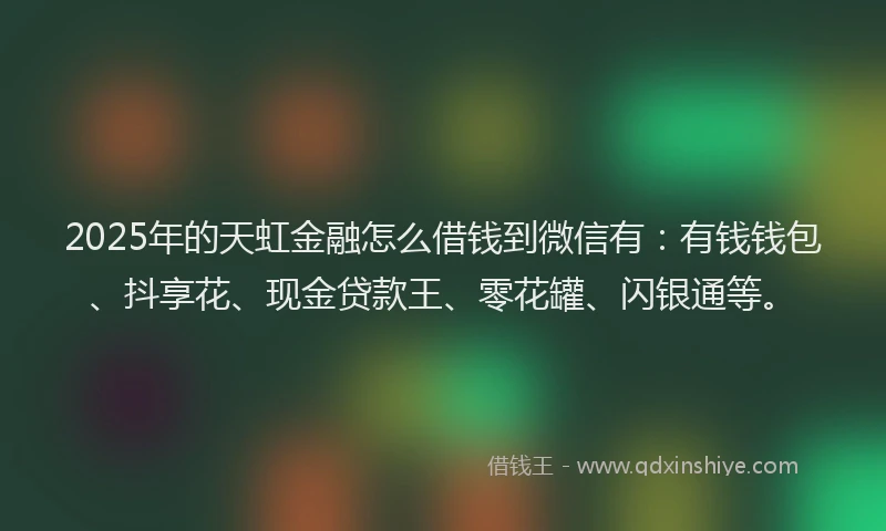 2025年的天虹金融怎么借钱到微信有：有钱钱包、抖享花、现金贷款王、零花罐、闪银通等。