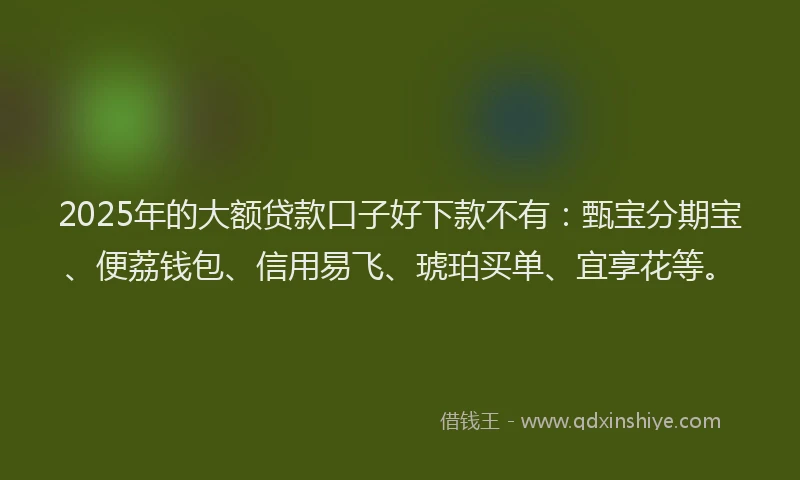 2025年的大额贷款口子好下款不有：甄宝分期宝、便荔钱包、信用易飞、琥珀买单、宜享花等。