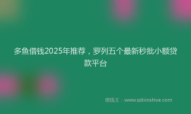 多鱼借钱2025年推荐，罗列五个最新秒批小额贷款平台