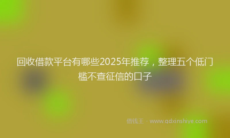 回收借款平台有哪些2025年推荐，整理五个低门槛不查征信的口子