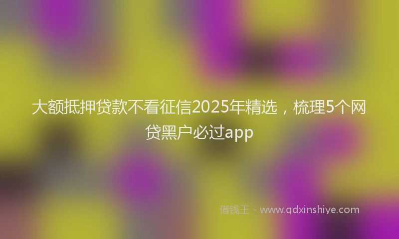 大额抵押贷款不看征信2025年精选，梳理5个网贷黑户必过app