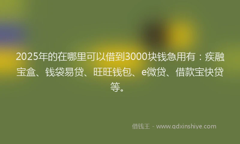 2025年的在哪里可以借到3000块钱急用有：疾融宝盒、钱袋易贷、旺旺钱包、e微贷、借款宝快贷等。