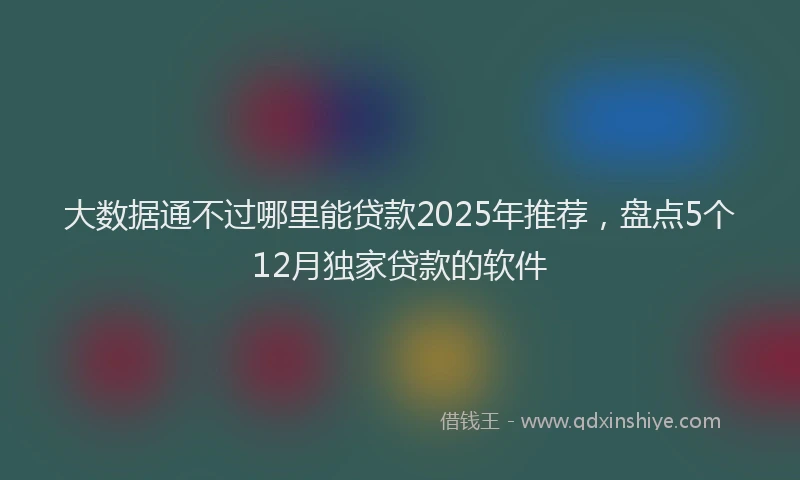 大数据通不过哪里能贷款2025年推荐，盘点5个12月独家贷款的软件