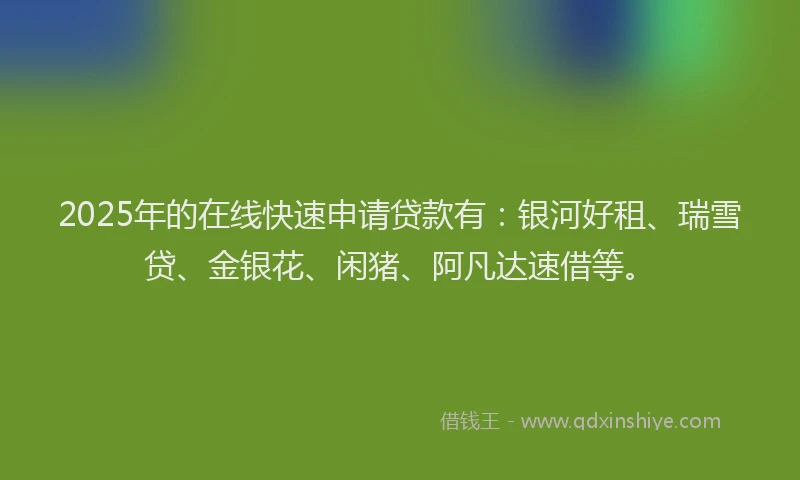 2025年的在线快速申请贷款有：银河好租、瑞雪贷、金银花、闲猪、阿凡达速借等。