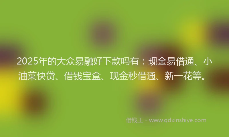 2025年的大众易融好下款吗有：现金易借通、小油菜快贷、借钱宝盒、现金秒借通、新一花等。