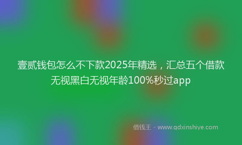 壹贰钱包怎么不下款2025年精选，汇总五个借款无视黑白无视年龄100%秒过app