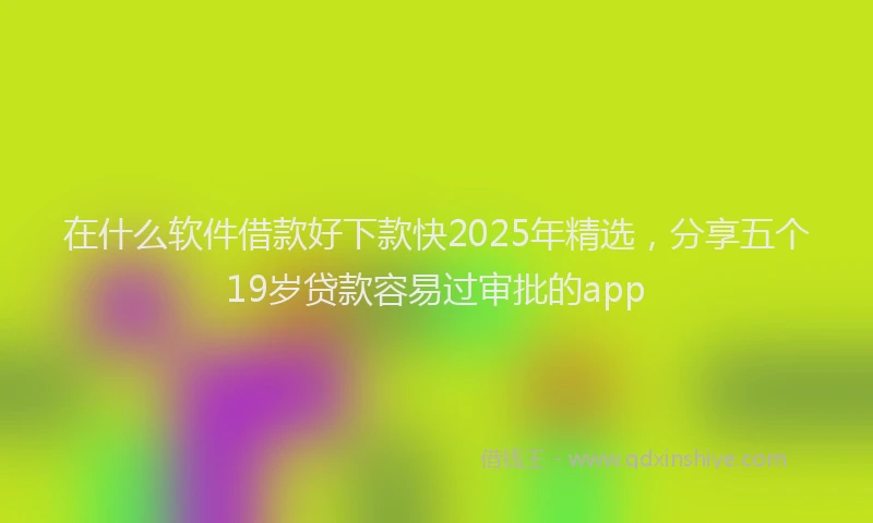 在什么软件借款好下款快2025年精选，分享五个19岁贷款容易过审批的app
