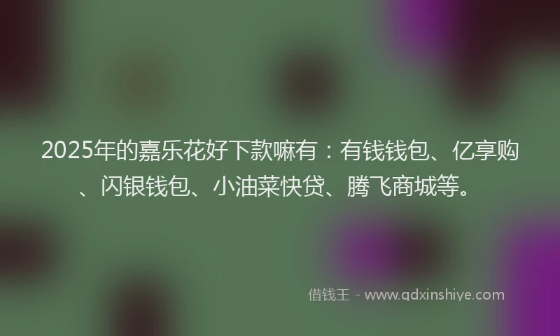 2025年的嘉乐花好下款嘛有：有钱钱包、亿享购、闪银钱包、小油菜快贷、腾飞商城等。