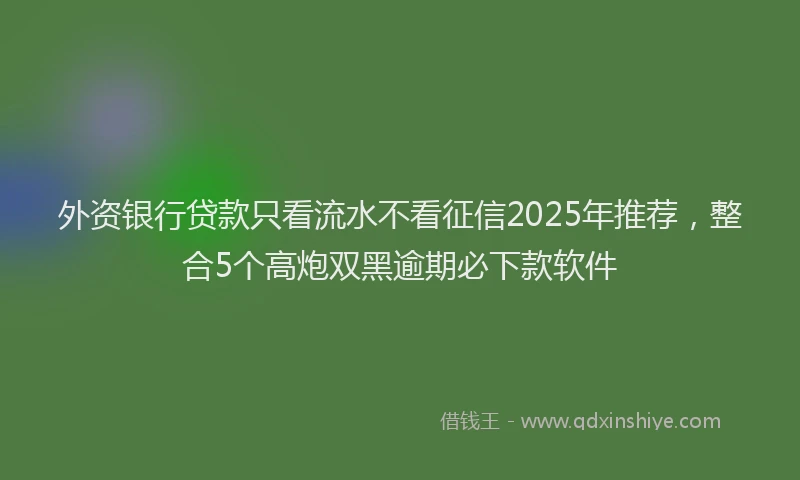 外资银行贷款只看流水不看征信2025年推荐，整合5个高炮双黑逾期必下款软件