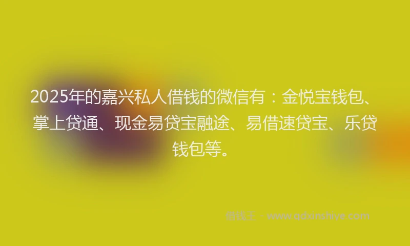 2025年的嘉兴私人借钱的微信有：金悦宝钱包、掌上贷通、现金易贷宝融途、易借速贷宝、乐贷钱包等。