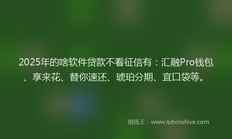 2025年的啥软件贷款不看征信有：汇融Pro钱包、享来花、替你速还、琥珀分期、宜口袋等。