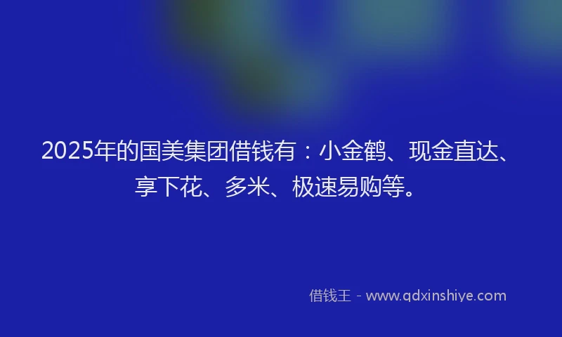 2025年的国美集团借钱有：小金鹤、现金直达、享下花、多米、极速易购等。