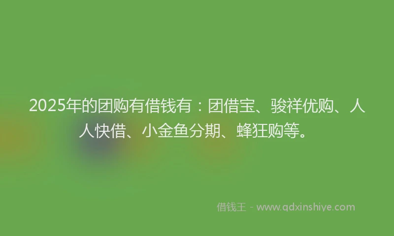 2025年的团购有借钱有：团借宝、骏祥优购、人人快借、小金鱼分期、蜂狂购等。