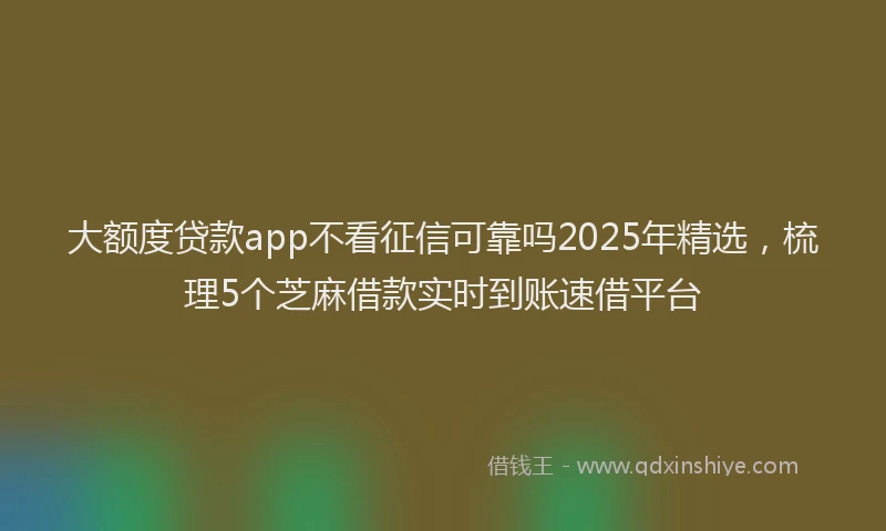 大额度贷款app不看征信可靠吗2025年精选，梳理5个芝麻借款实时到账速借平台