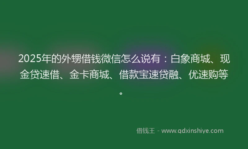 2025年的外甥借钱微信怎么说有：白象商城、现金贷速借、金卡商城、借款宝速贷融、优速购等。