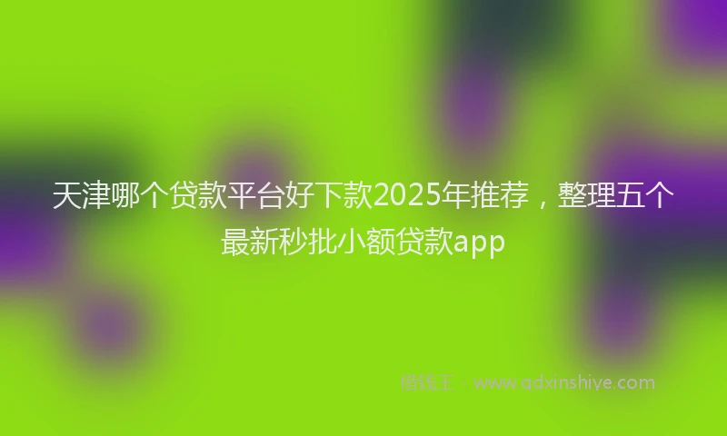天津哪个贷款平台好下款2025年推荐，整理五个最新秒批小额贷款app